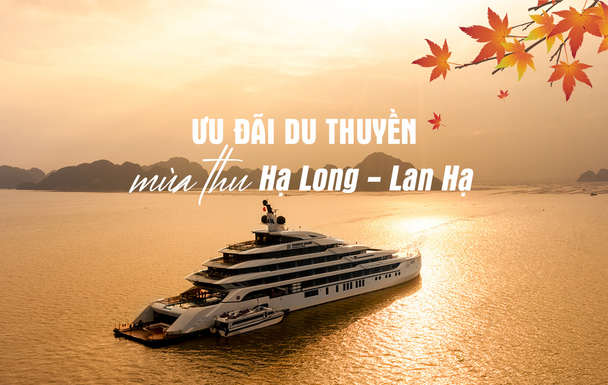 tong-hop-uu-dai-du-thuyen-vinh-ha-long-–-lan-ha-mua-thu-2024