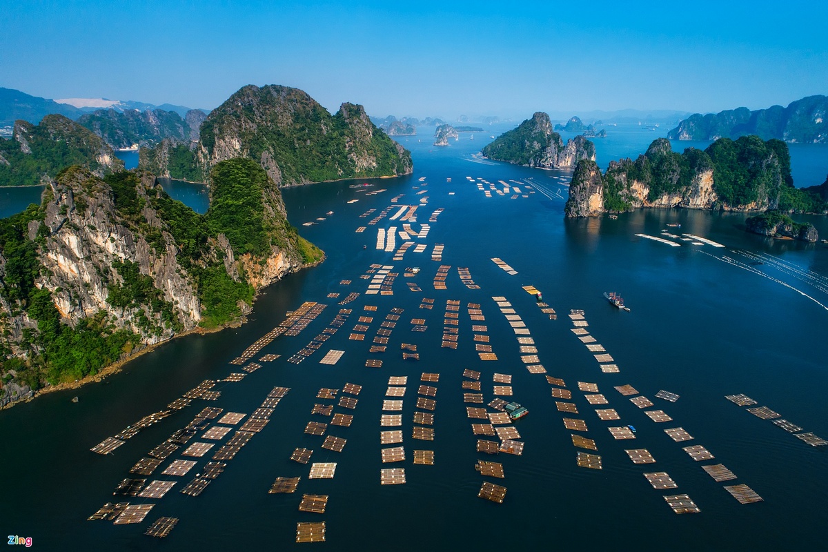 Vịnh Bái Tử Long Quảng Ninh
