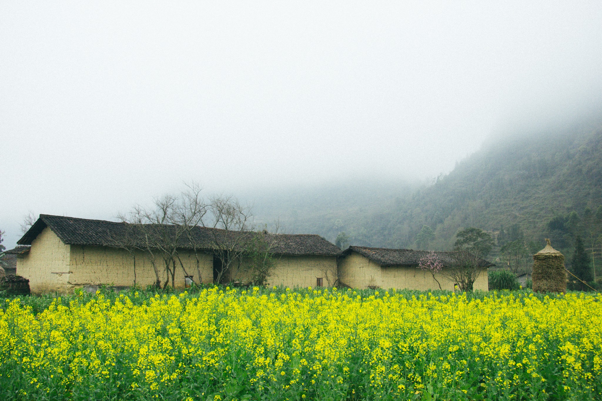 Du lịch Hà Giang mùa hoa cải