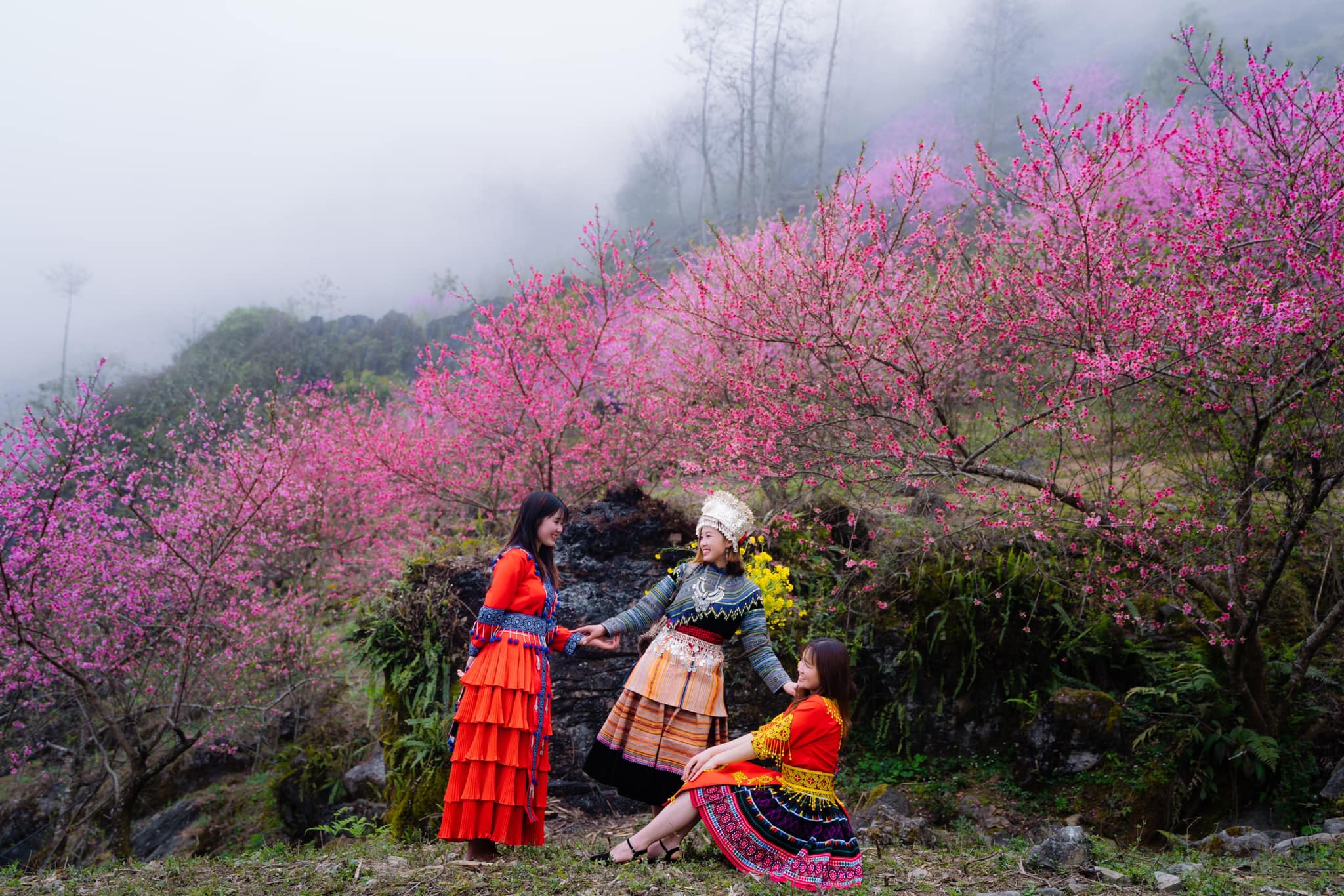 Tour Hà Giang Tết Nguyên Đán 2023 03