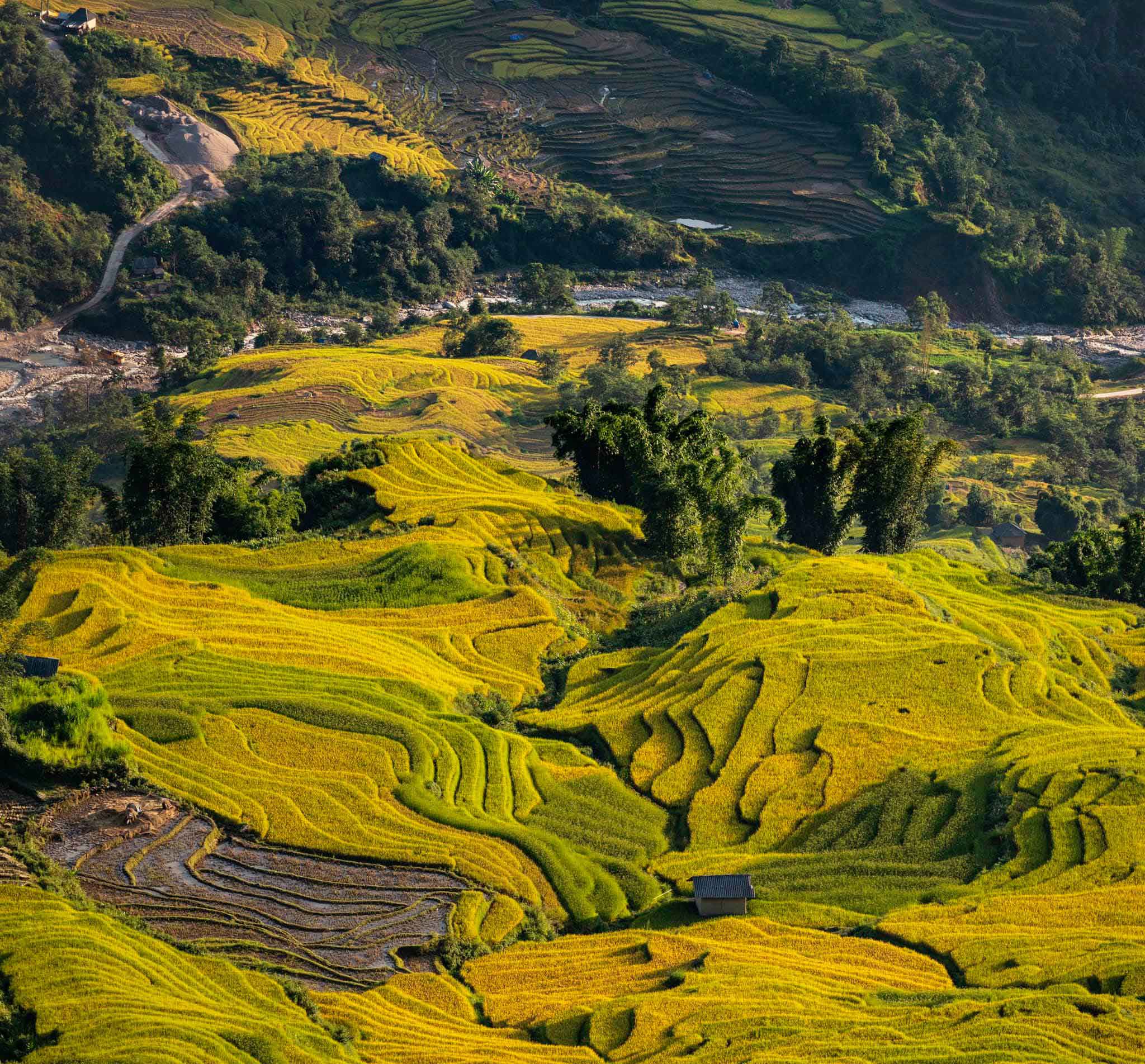 Du lịch Tây Bắc mùa lúa chín