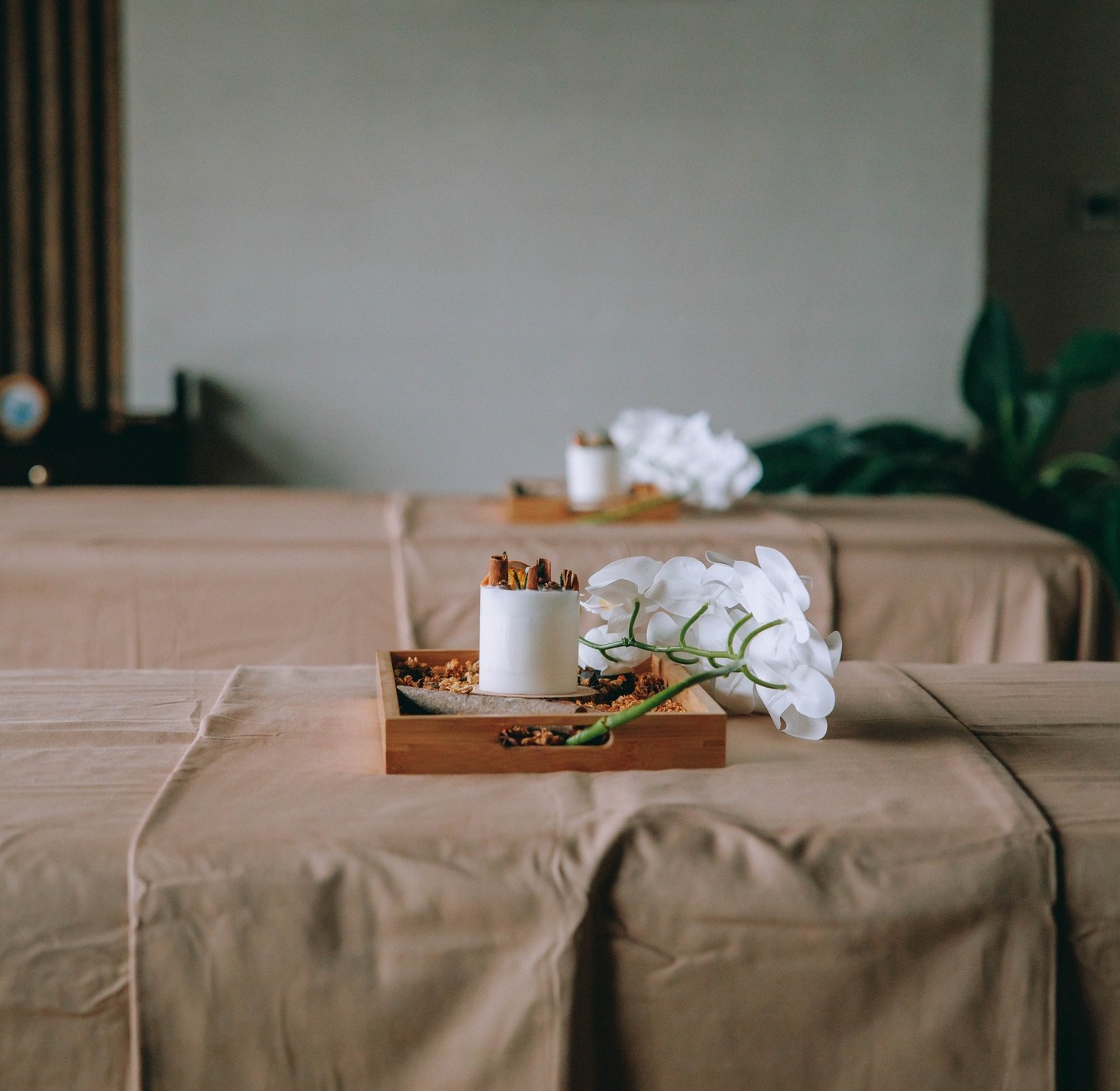 Spa Flamingo Cát Bà