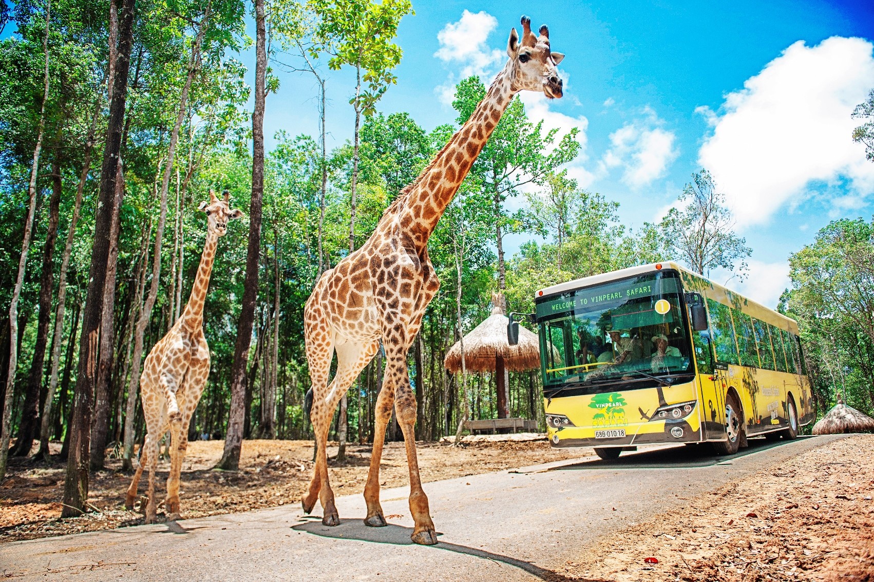 Khách sạn Holidays Infinity Phú Quốc nằm gần Safari Phú Quốc