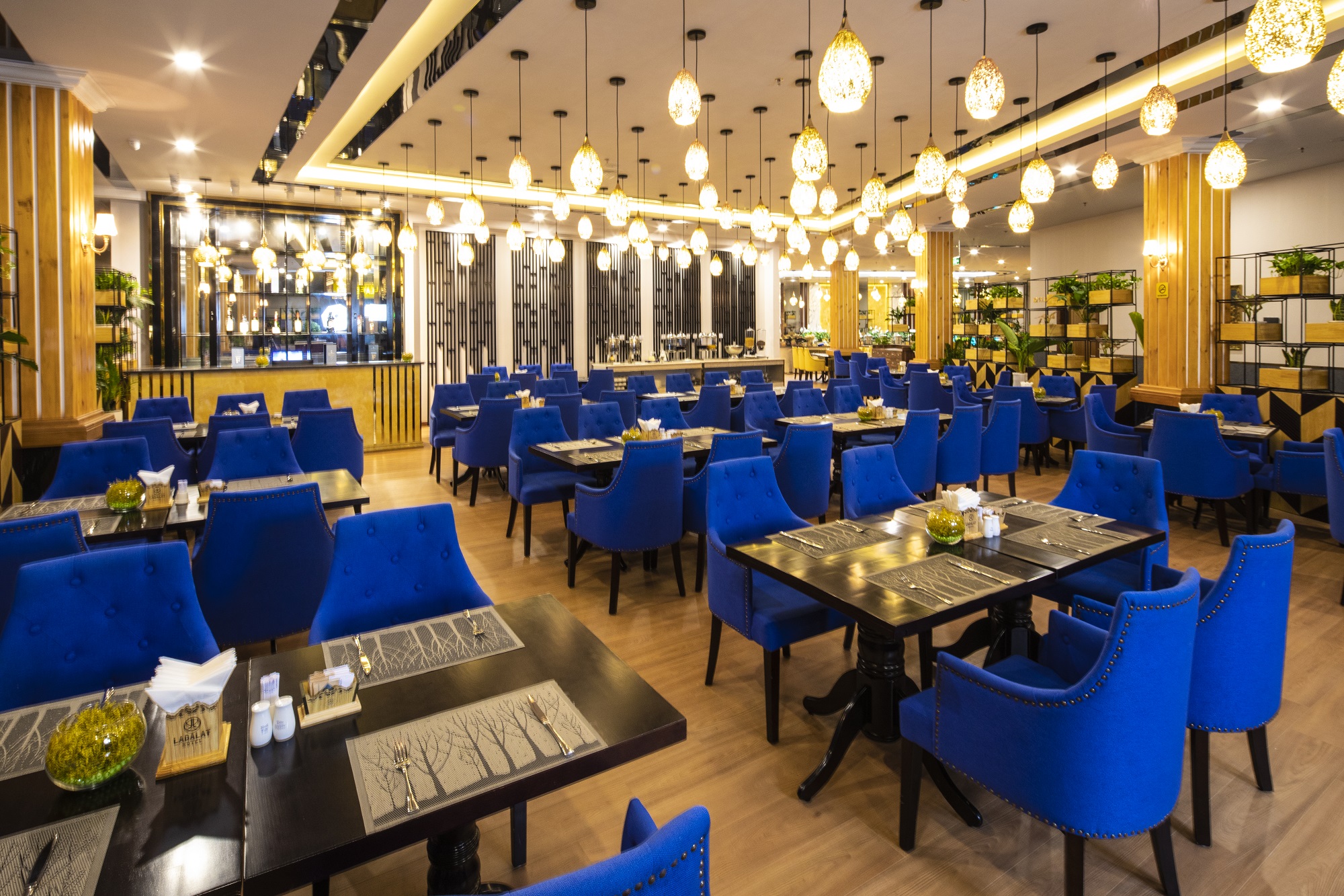/files/images/LadalatHotel/1_%20LAVANDE%20RESTAURANT%20-%20LADALAT%20HOTEL%20(6).jpg
