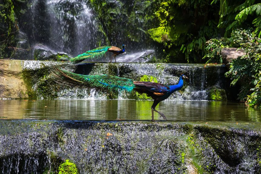 Top 10+ Địa Điểm Check-In Đẹp Ở Kuala Lumpur Cho Khách Du Lịch Malaysia 03