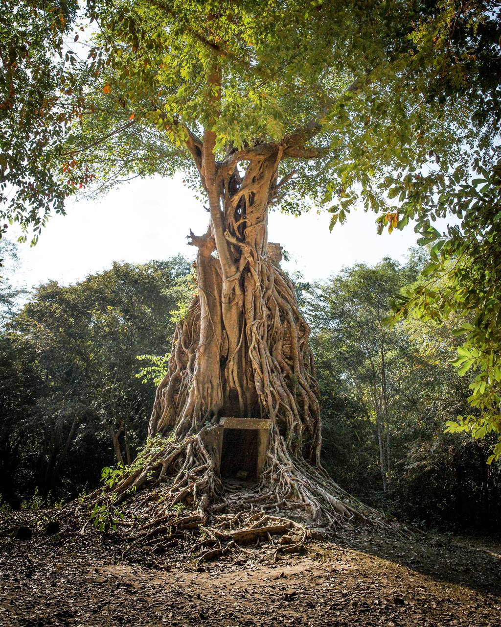 Sambor Prei Kuk - Địa điểm du lịch Kampong Thom, Campuchia nổi tiếng