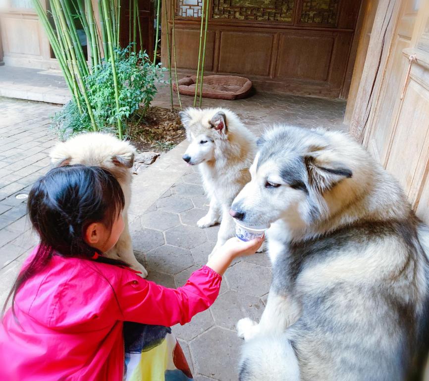 Xilu Xiaoxie Inn Lijiang Gucheng - Khách sạn được yêu thích tại Lệ Giang cổ trấn 02