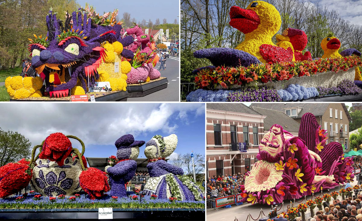 Lễ hội hoa Tulip ở Hà Lan