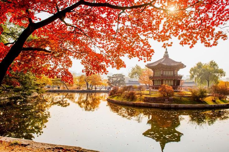 Du lịch Seoul Hàn Quốc