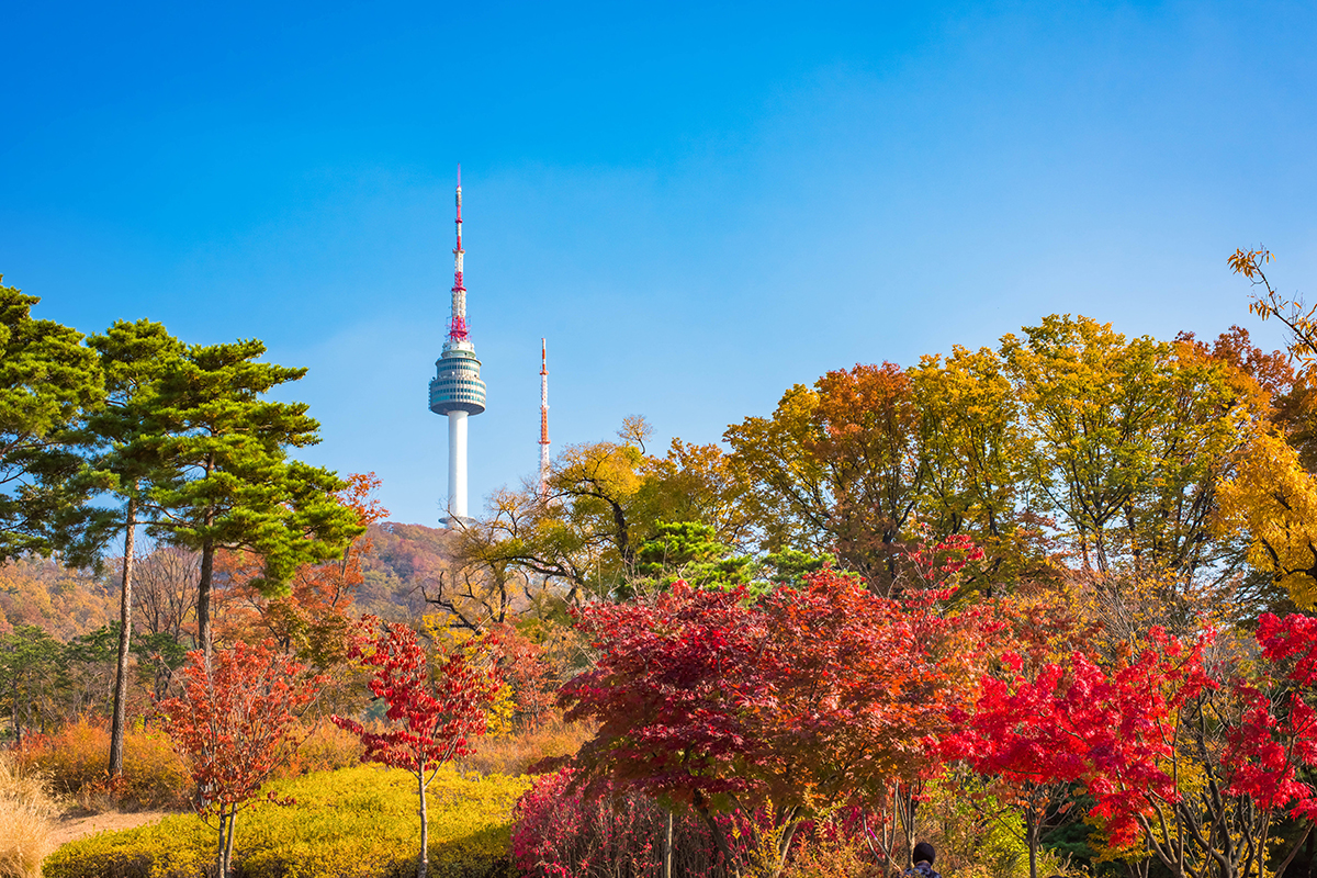 Du lịch Seoul Hàn Quốc 01