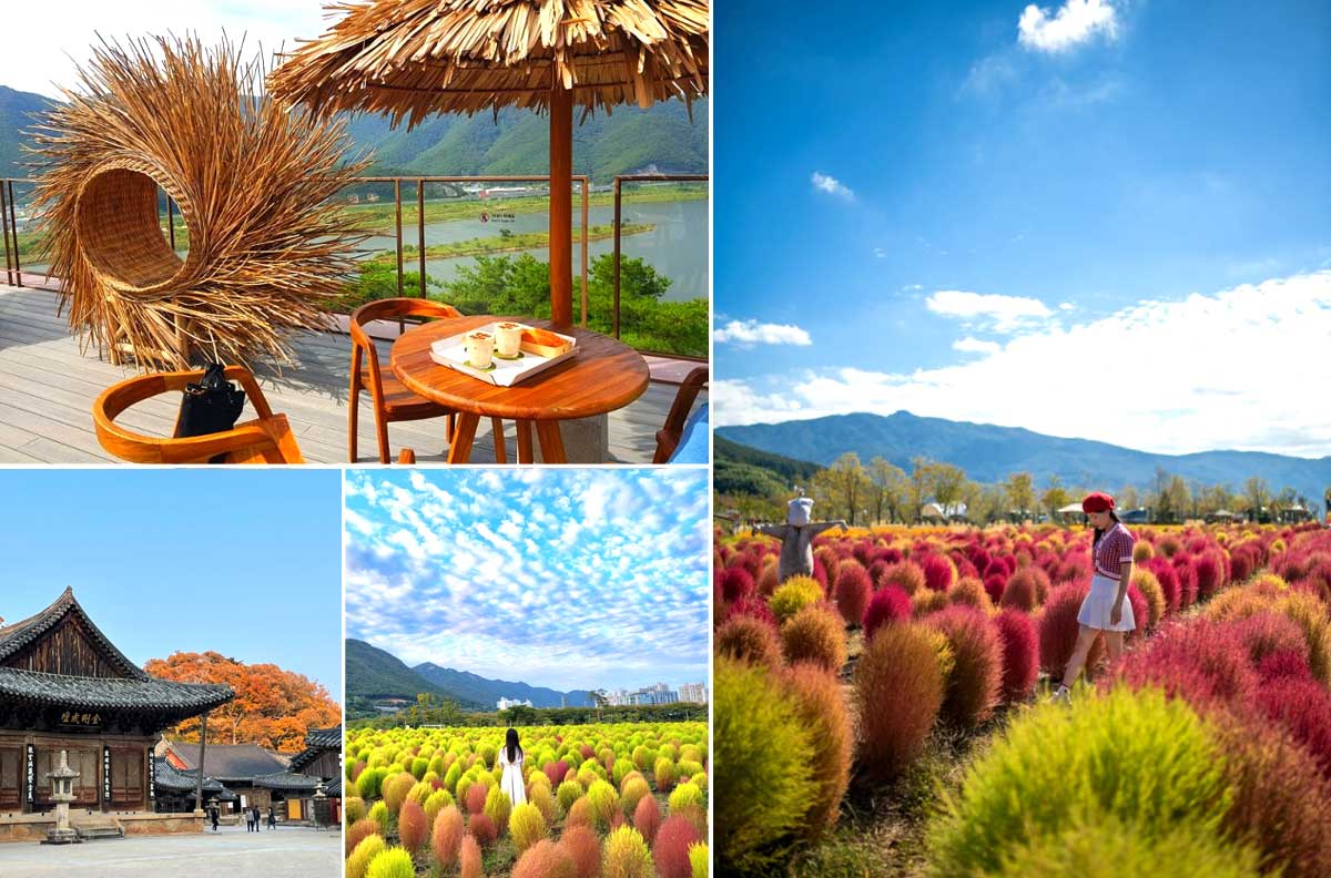 Yangsan - Địa điểm du lịch mùa thu Hàn Quốc nổi tiếng