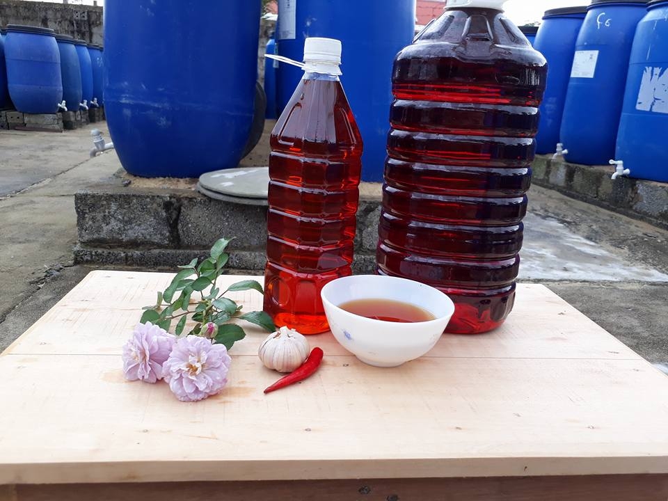 Du lịch Quảng Bình mua gì về làm quà? 03