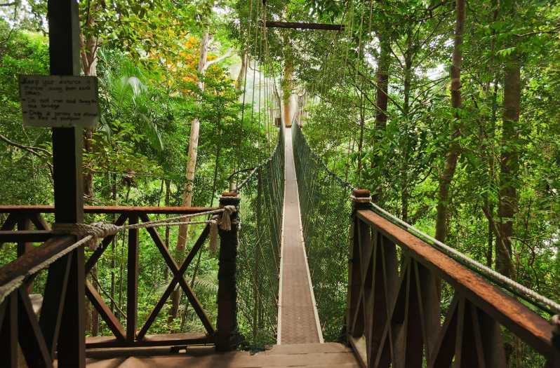 Những trải nghiệm không thể bỏ lỡ khi du lịch Malaysia 11