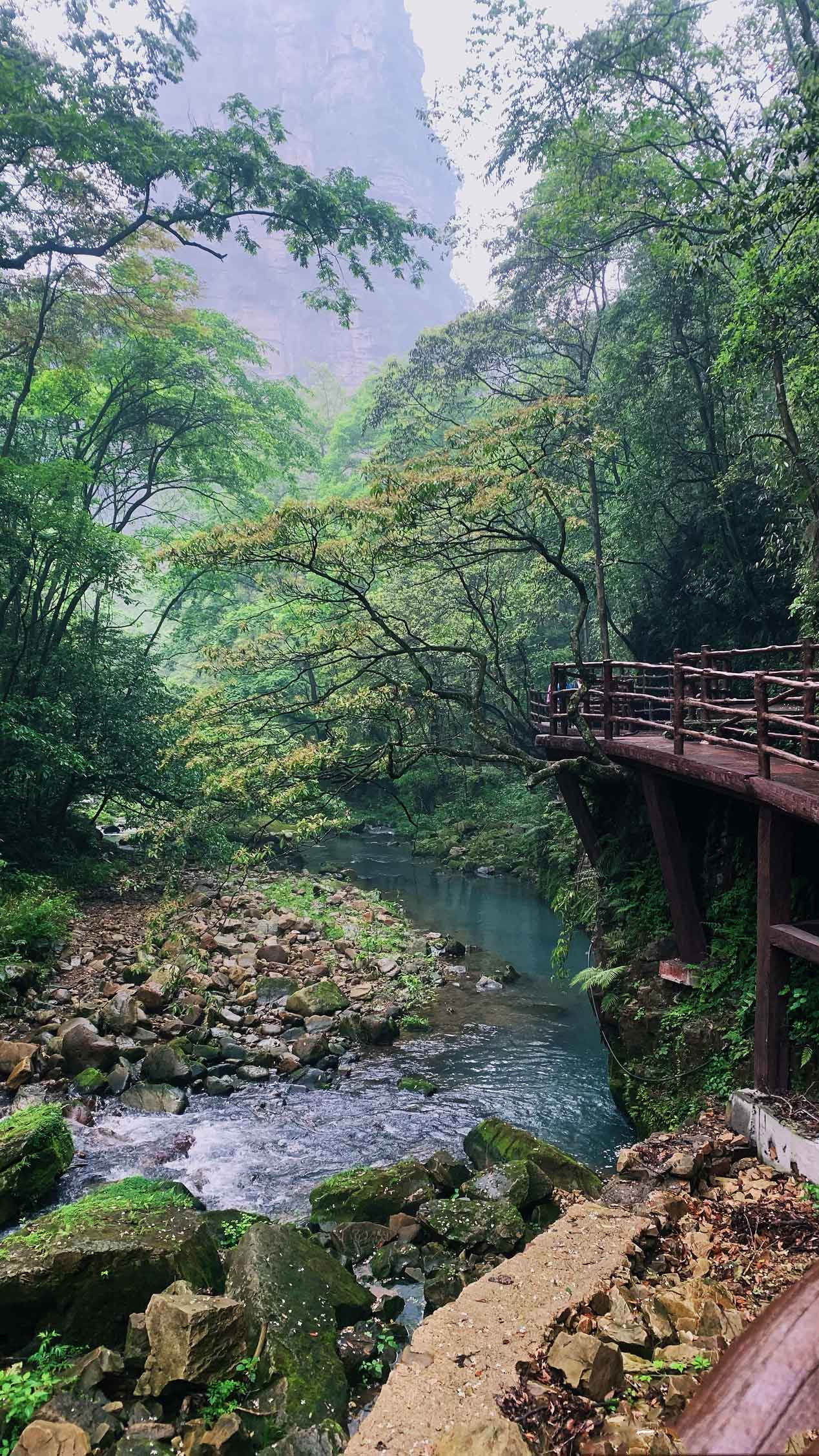 Tour du lịch Trương Gia Giới 05