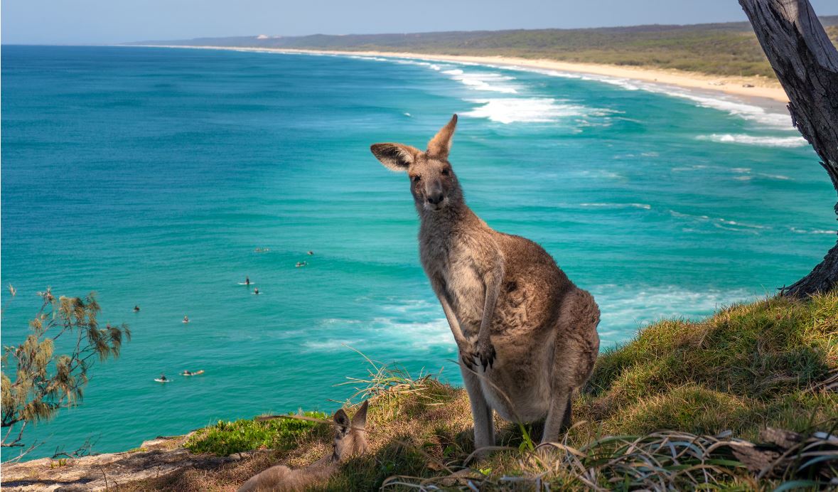 /files/images/Tour_Uc/kangaroo-island.jpeg