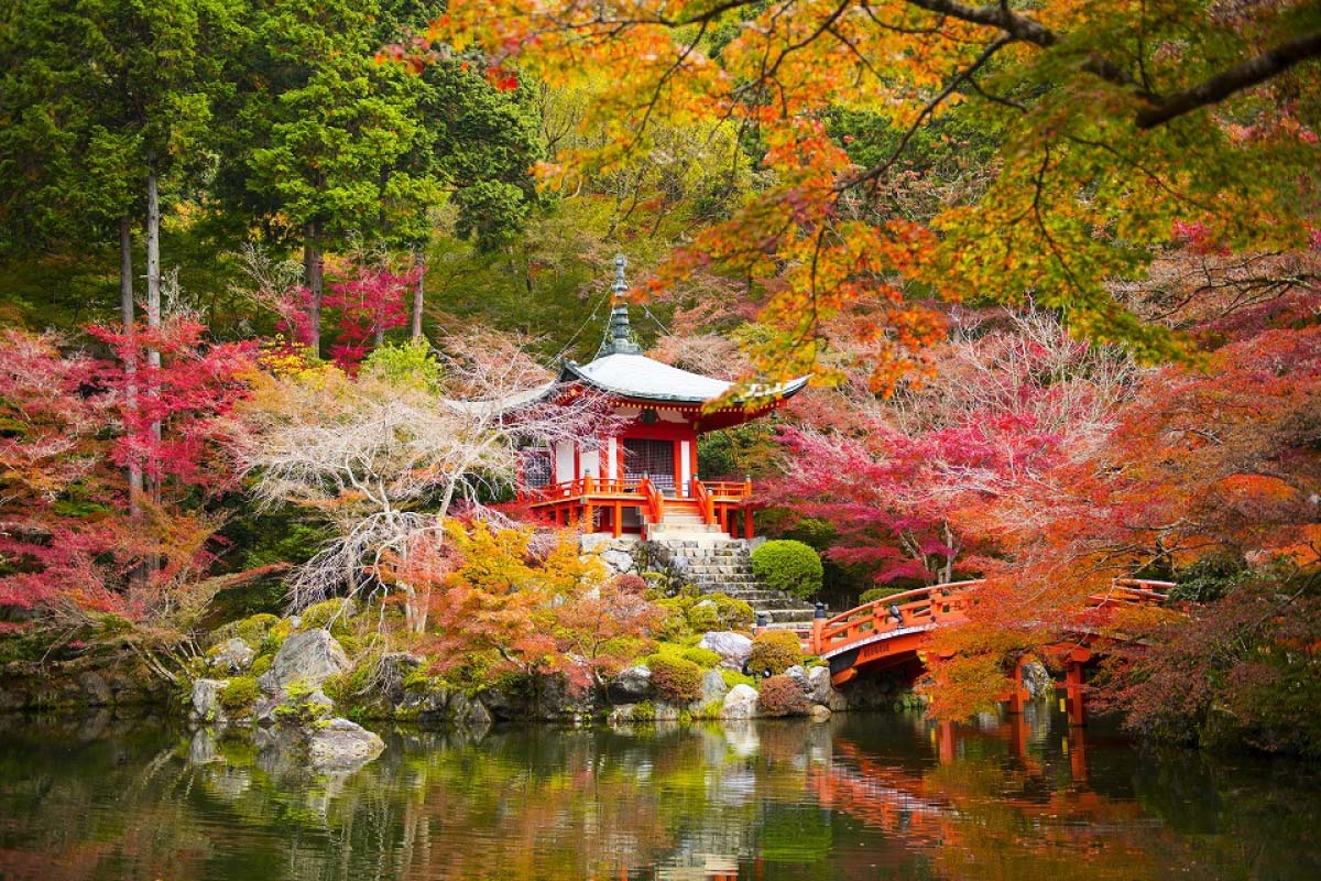 Địa điểm du lịch đẹp ở Kyoto 10