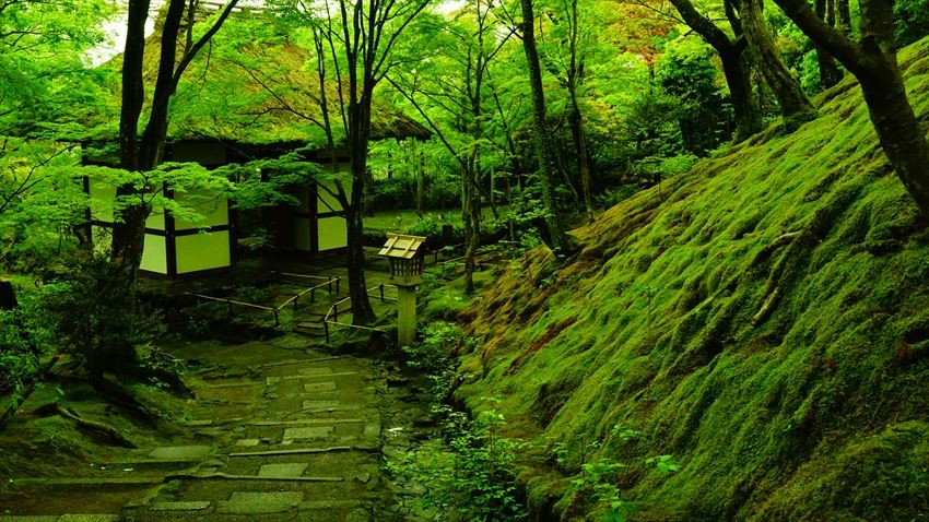 Địa điểm du lịch đẹp ở Kyoto 17