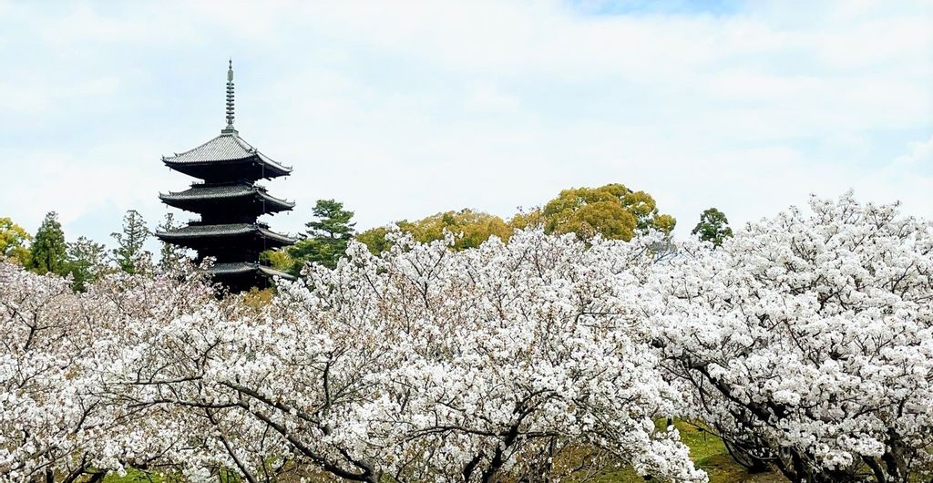 Địa điểm du lịch đẹp ở Kyoto 13