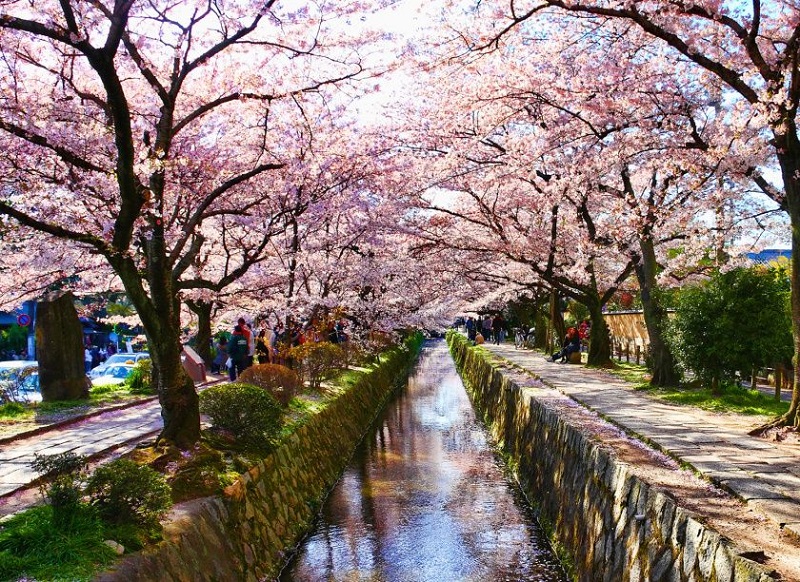 Địa điểm du lịch đẹp ở Kyoto 05