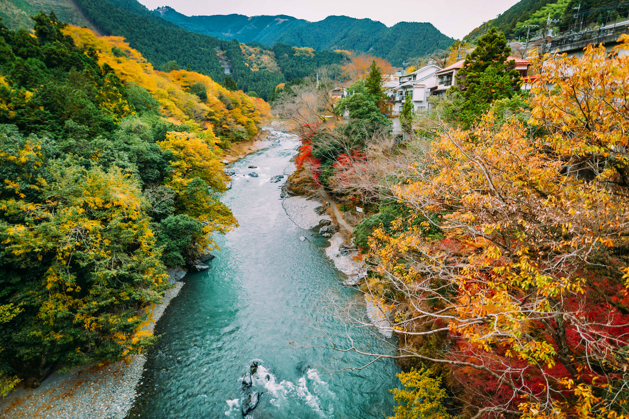 Những điểm ngắm lá tuyệt đẹp mùa lá đỏ Tokyo, Nhật Bản 10