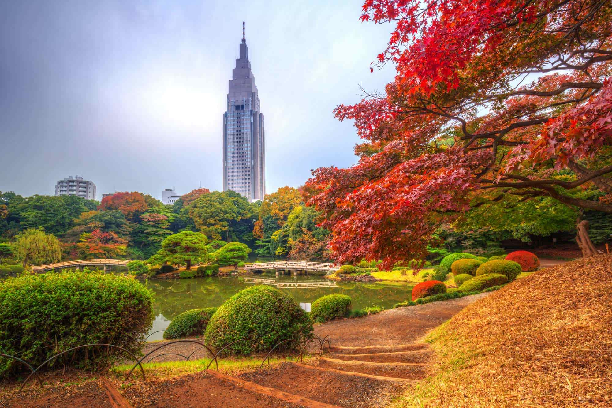 Những điểm ngắm lá tuyệt đẹp mùa lá đỏ Tokyo, Nhật Bản 02