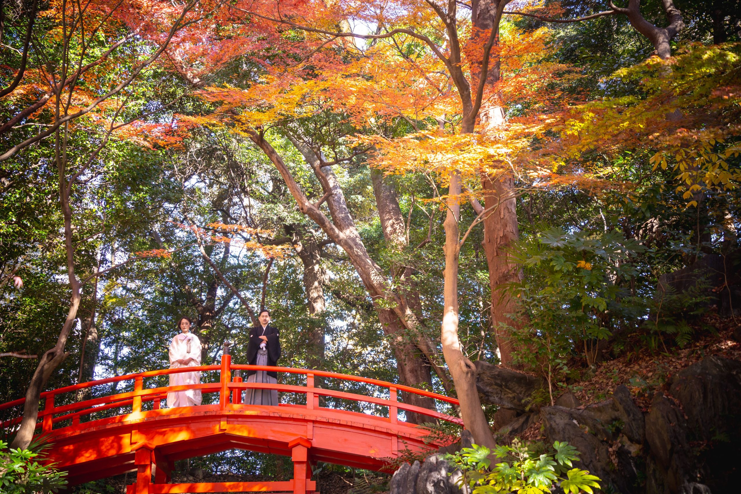 Những điểm ngắm lá tuyệt đẹp mùa lá đỏ Tokyo, Nhật Bản 06