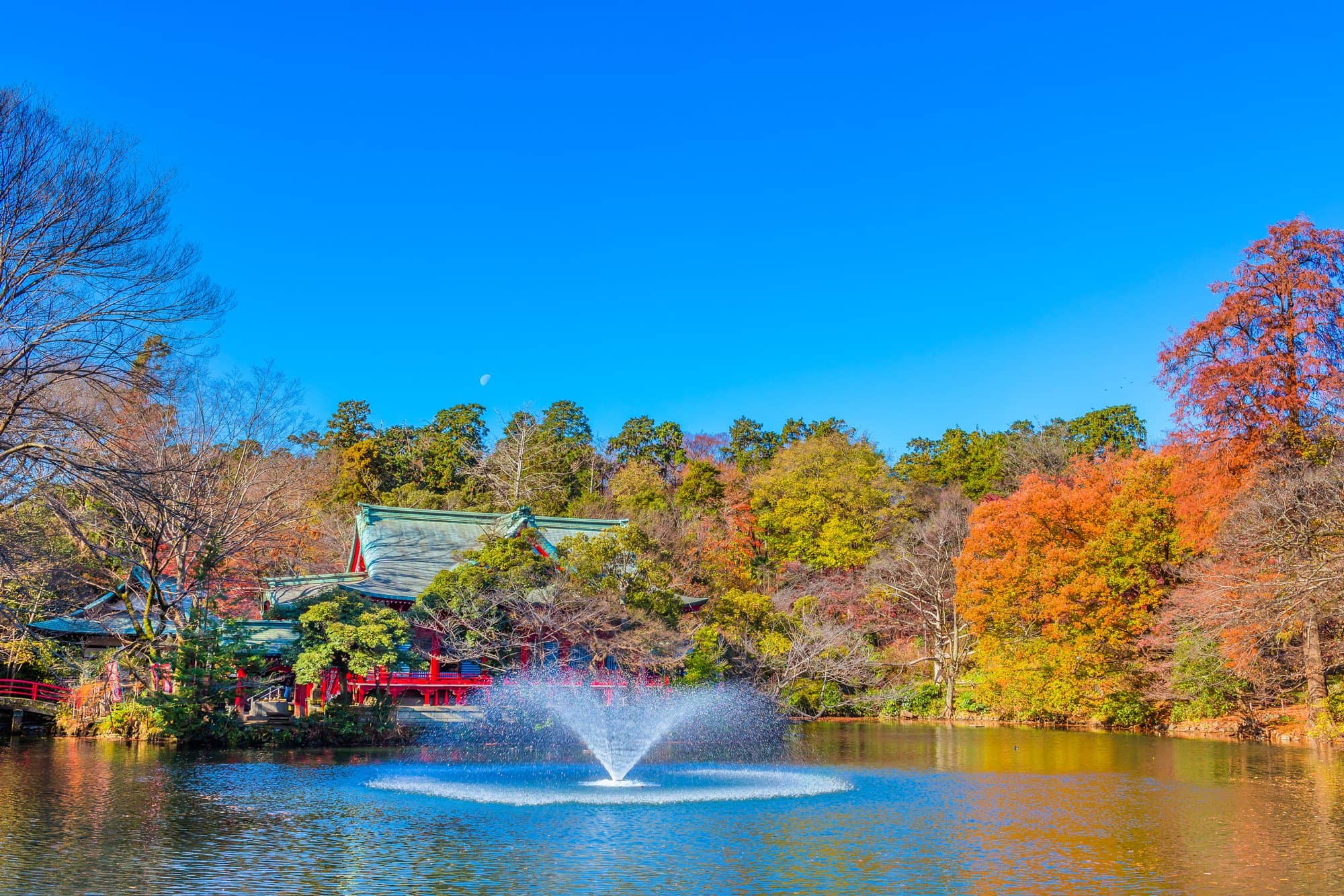 Những điểm ngắm lá tuyệt đẹp mùa lá đỏ Tokyo, Nhật Bản 07