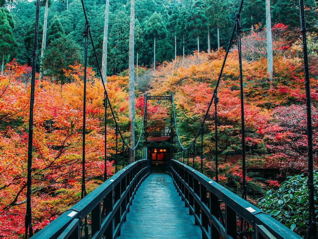 Những điểm ngắm lá tuyệt đẹp mùa lá đỏ Tokyo, Nhật Bản 09