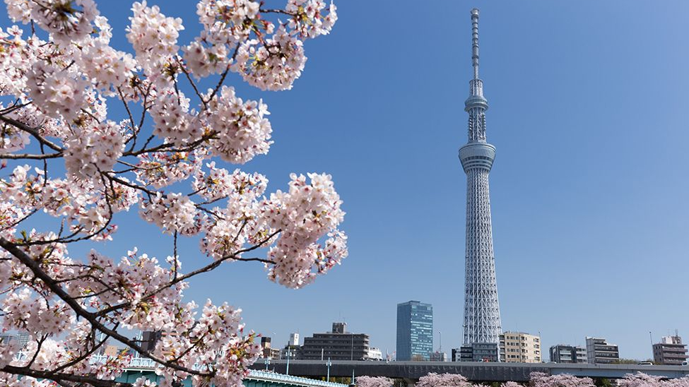 Địa điểm du lịch nổi tiếng ở Tokyo Nhật Bản 04