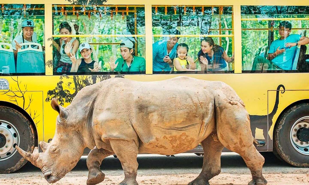 Safari Phú Quốc - Kid Zoo