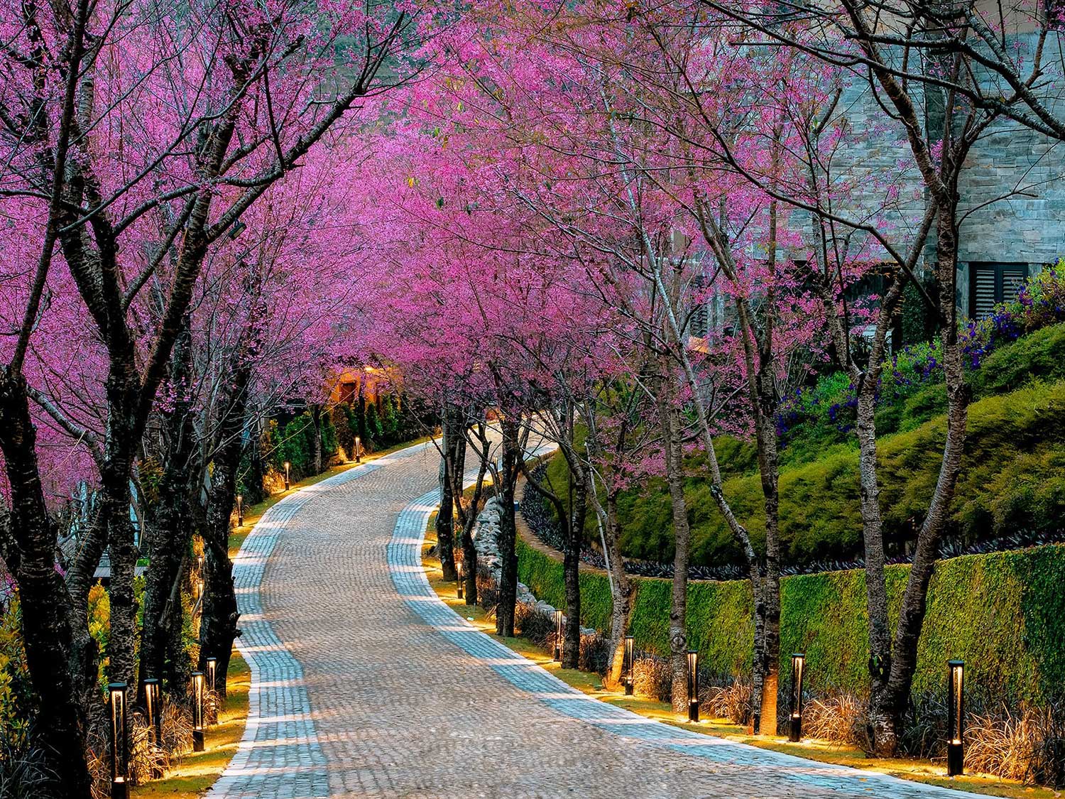 /files/images/garrya-mu-cang-chai/garrya-mu-cang-chai-22.jpg