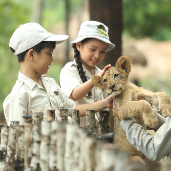 Kid'd Zoo trải nghiệm cho các bé