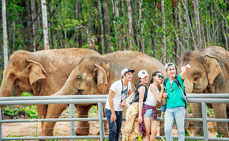 Vinpearl Safari Phú Quốc